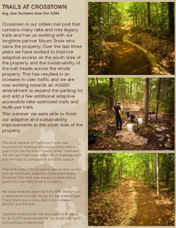 annual report 2025_Page_8